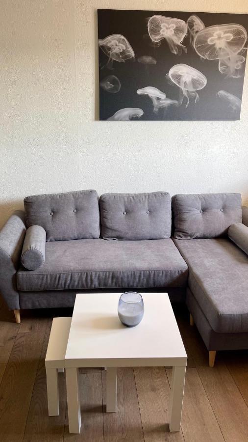 Studio Cocooning hauteur de Saint-Raphaël #2 Extérieur photo